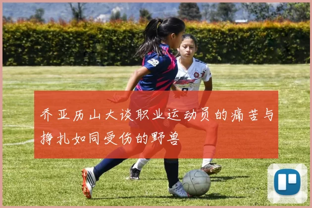 乔亚历山大谈职业运动员的痛苦与挣扎如同受伤的野兽