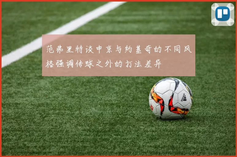 范弗里特谈申京与约基奇的不同风格强调传球之外的打法差异